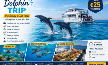 Dolphin tour