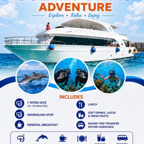 Dolphins & Diving